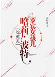 综英美罗宾女孩波特txt