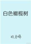 白色橄榄树作者