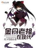 金丹老祖在现代叶枫