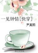 一见钟情快穿尹真熙txt
