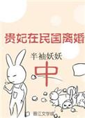 贵妃在民国离婚中男主是谁