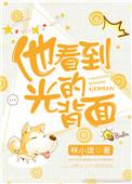 他看到光的背面简介