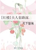 红楼夫人套路深百度