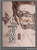 上等宠爱结局知乎