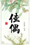 佳偶天成什么意思