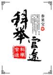 农家子的科举官途