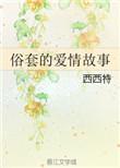 俗套的爱情故事by西西特剧透