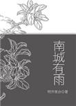 南城有雨明开夜和