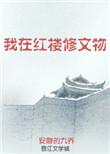 我在红楼修文物作者安静的九乔