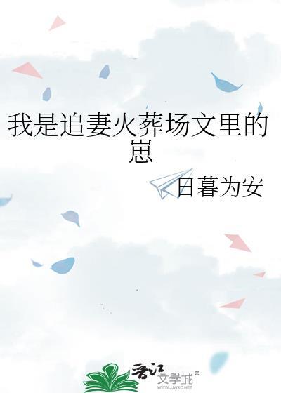 我追妻火葬场了