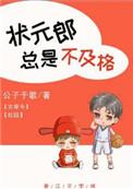 状元郎总是不及格 番外