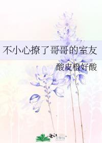 不小心撩了哥哥的室友百度