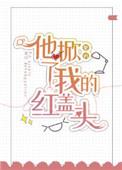 他掀了我的红盖头作者名紫矜