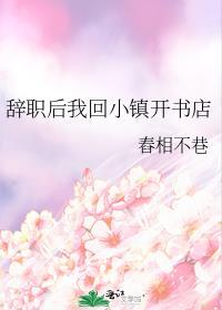 辞职后我回小镇开书店by舂相不巷番外