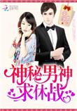 求休战免费阅读