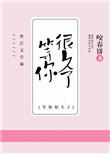 我等你很久了实体书一共有几本