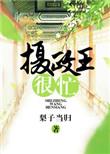 摄政王的2