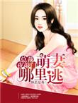 总裁来敲门萌妻哪里逃全章