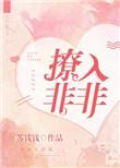 撩入非非百度