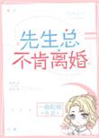 先生总不肯离婚全文