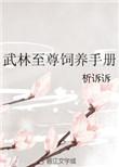 武林至尊标配