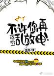 不准你再乱放电