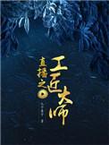 直播之工匠大师笔趣阁TXT