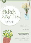 想宠你入我户口本乐文