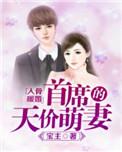 首席宠妻入骨