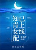 知青女配已上线格格党