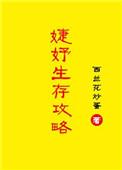 婕妤生存攻略TXT