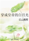 穿成皇帝的白月光百度