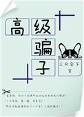 高级是什么意思?