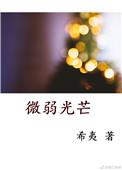 微弱光芒笔趣阁