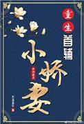 重生首辅小娇妻 无防伪章