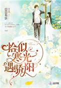 恰似寒光遇骄阳免费观看全文