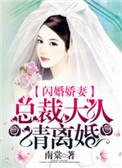 娇妻闪婚 总裁大人请离婚