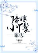 穿越之陪嫁小丫鬟