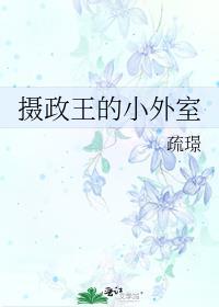摄政王的小外室作者 疏璟