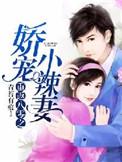 重回八零娇宠小辣妻
