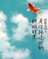 是你路过我的倾城时光epub