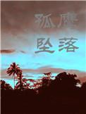 当孤鹰坠落初禾txt