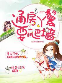丫鬟通房文