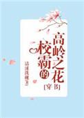 校霸的高岭之花穿书txt