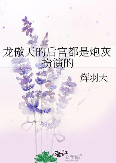 龙傲天后宫动漫介绍