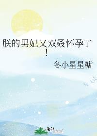 朕的男人结局