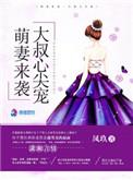 陆先生的闪婚甜妻酷宝