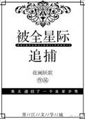被全星际追捕番外怀孕了吗