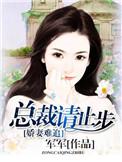 娇妻难娶总裁