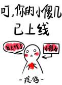 你的小傻几已上线 宝书网